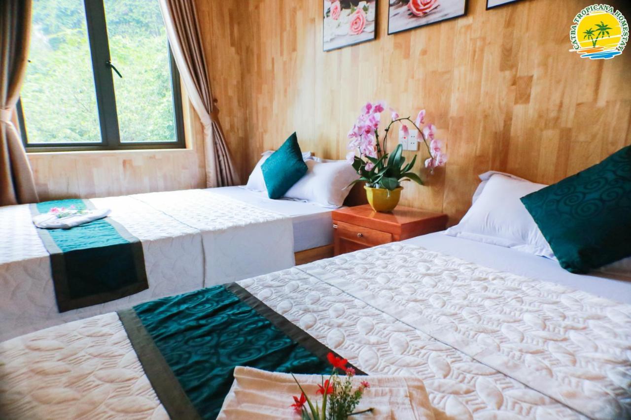 Cat Ba Tropicana Homestay Cat Ba Island Eksteriør billede